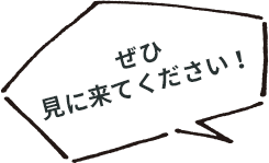 ぜひ見に来てください！