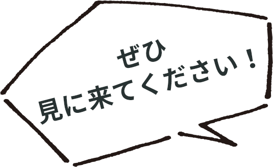 ぜひ見に来てください！