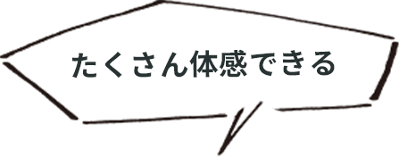 たくさん体感できる