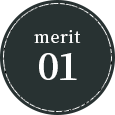 merit01