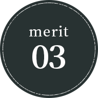 merit03